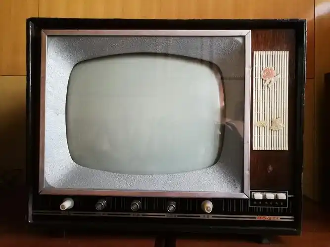 云南山茶电视机