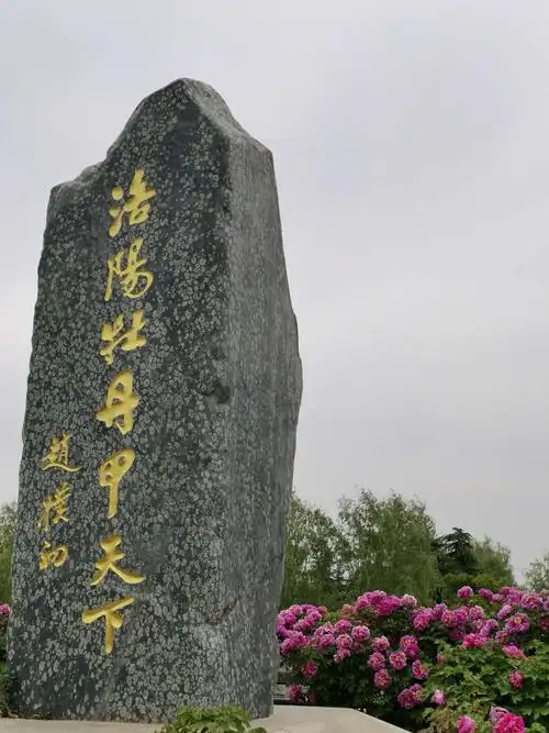 洛阳牡丹甲天下 - 美篇