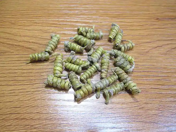 铁皮石斛四年生石斛安徽龙头凤尾石斛枫斗胶质好送礼佳品