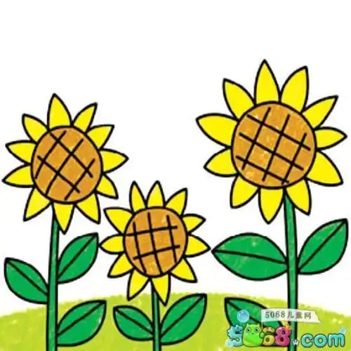 太阳花花瓣圆形简笔画 简笔画图片大全-普车都