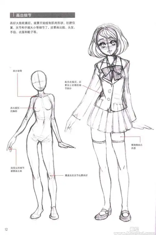 教程:女性角色的画法》以手绘为主题,主要介绍了女性动漫角色的绘画