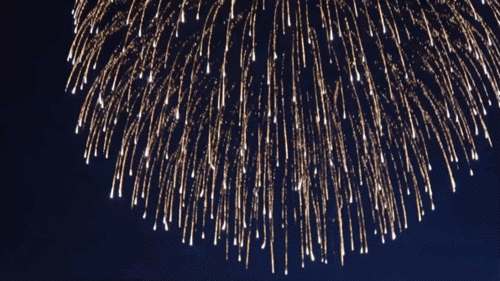 596_335gif 动态图 动图