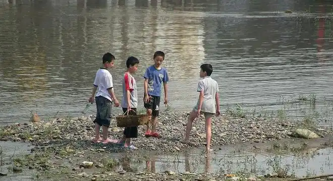 曾经跟几个80后友人聊天,讨论到一个话题,就是无论小时候生活在农村