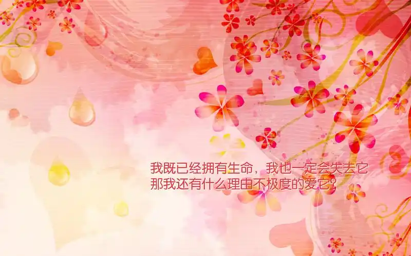 充满正能量的简约背景励志文字语录图片电脑桌面壁纸高清 第二辑