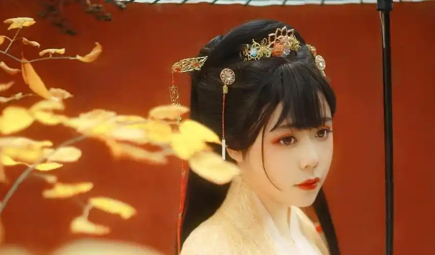 抖音上比较火的古装女子照片电脑桌面壁纸是qq壁纸网免费提供好看的