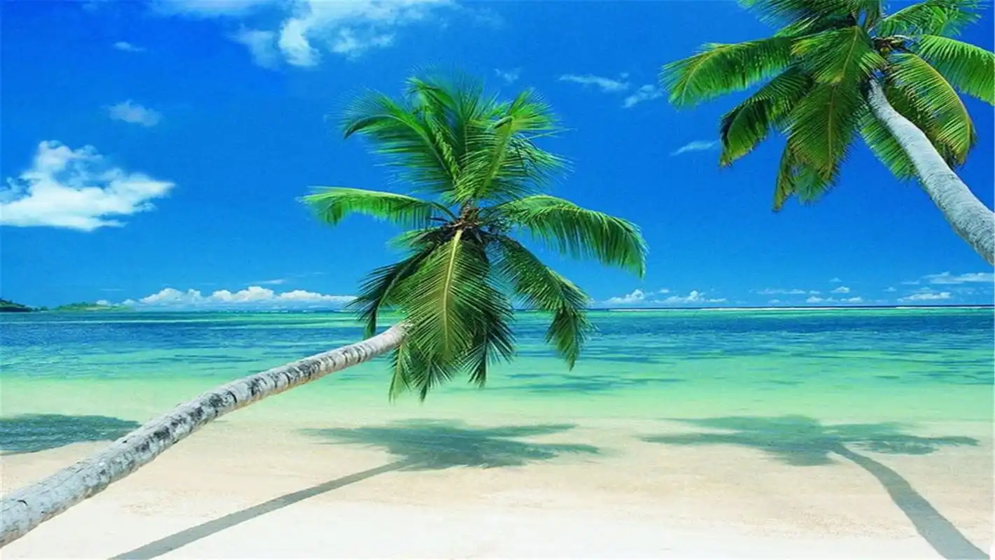 蓝蓝的大海唯美养眼风景桌面壁纸