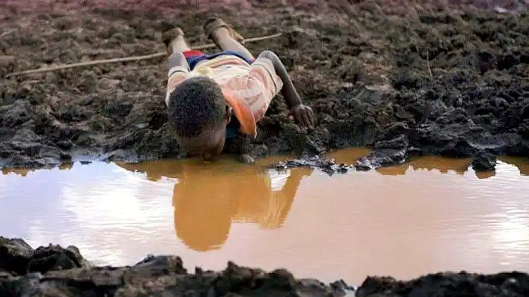 为何非洲人宁愿渴死不挖井,饿死不种地呢?看完视频终于明白了