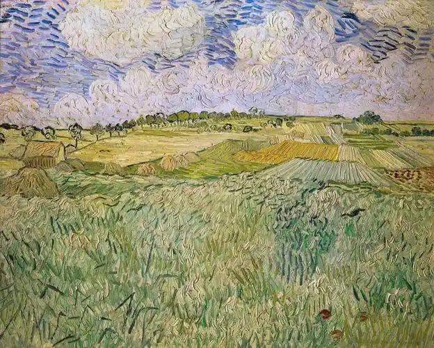 88_人是无法把告别画出来的 《渴望生活·梵高传》