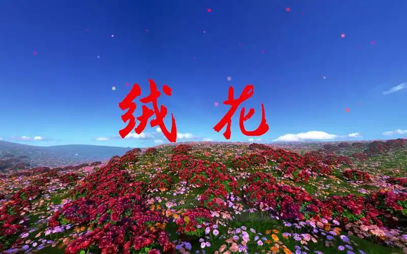 上海市洋泾中学男生合唱献礼演绎经典红歌《绒花》,庆祝建党100周年