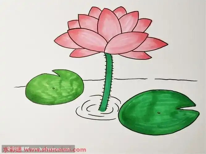 画睡莲的简笔画