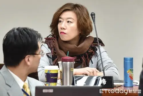 民进党立委林静仪.(资料照/记者李毓康摄)