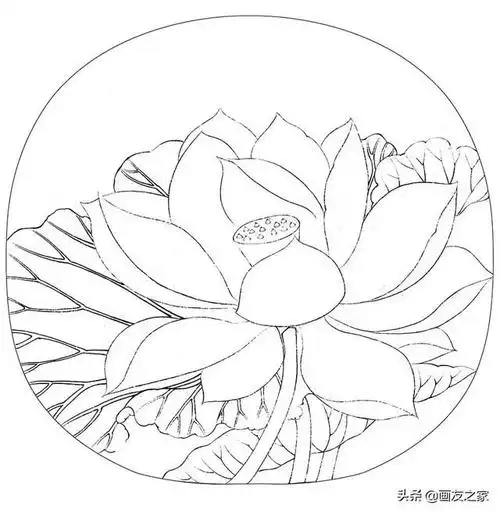 白描荷花