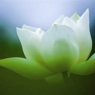 中年人高颜值大自然风景头像