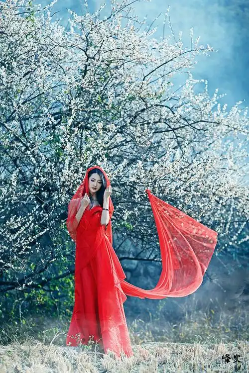 《梅香飘远》红衣梅花美女素材
