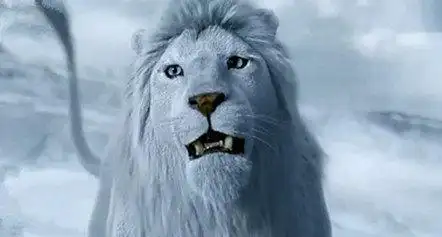 雪狮——《幻城》,这么霸气的宠物,你们想要吗?