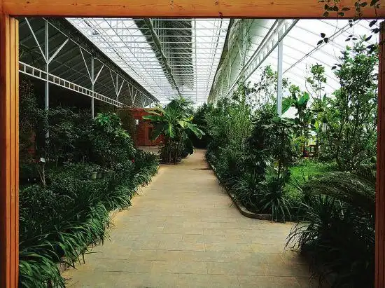 吉林秋彩生态农业科技有限公司的温室内,盛开的火龙果花.