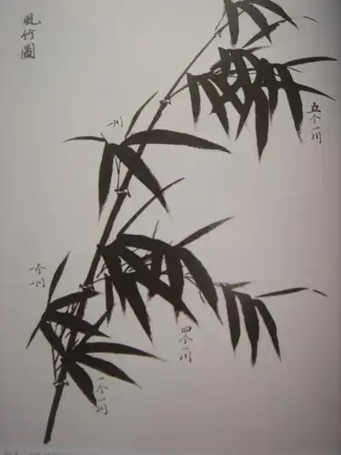 国画水墨画竹子的各种入门技法画法步骤图文详解
