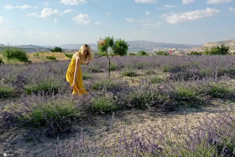 土耳其浪漫薰衣草花田美女拍摄大片超唯美