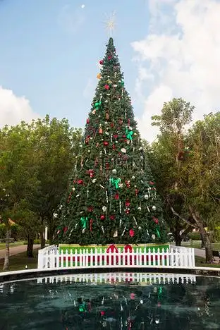 大型装饰外部圣诞树