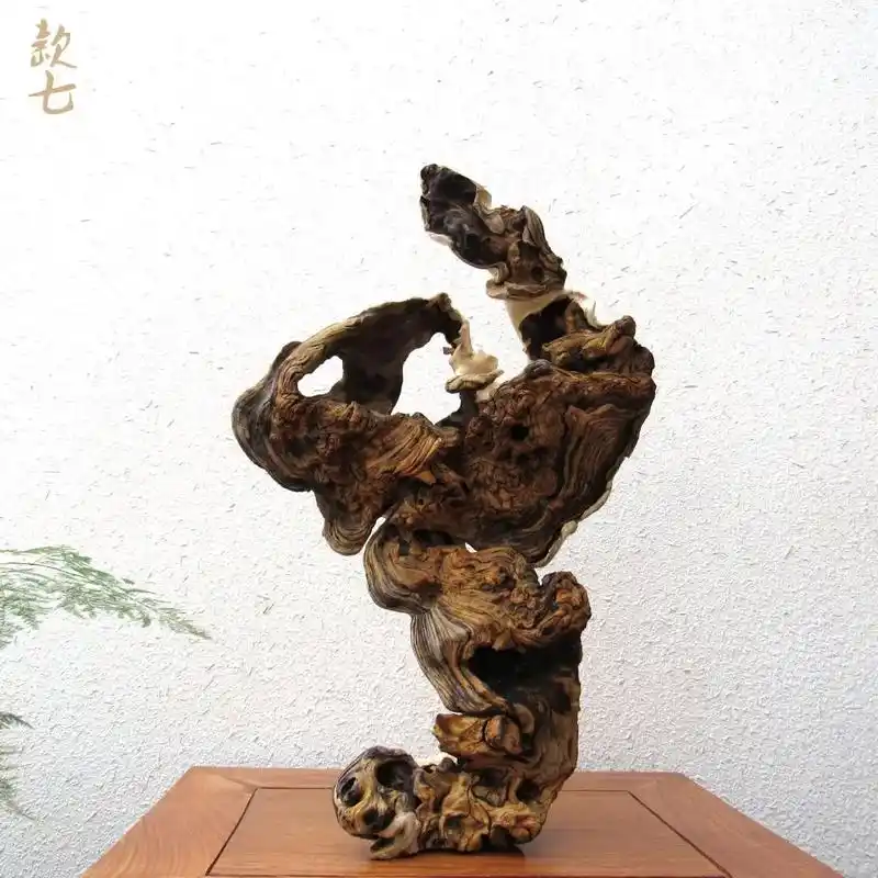 枯木艺术 #根艺根雕 #风化木摆件  - 抖音