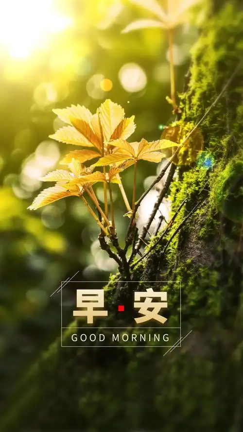 正能量励志早安心语文案图片:晨不惜时日无所为,少不勤勉老无所归