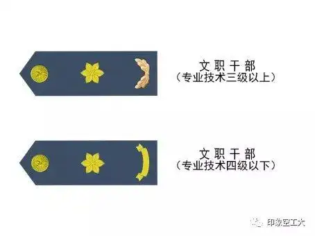 文职军官傻傻分不清送你一套军衔识别手册