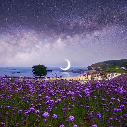 朋友圈背景图高清唯美封面图