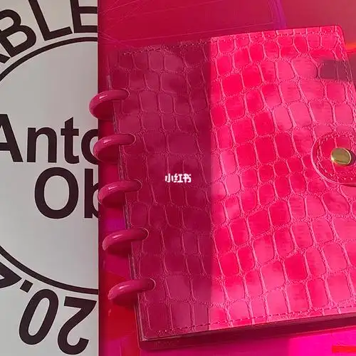 这个桃红色卡册太貌美了