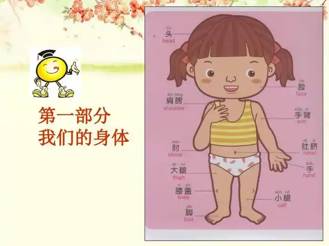 高米清华园·托班月亮班主题活动《身体部位》