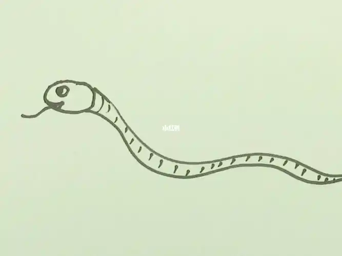 画画   #美术   #简笔画教程   #儿童画