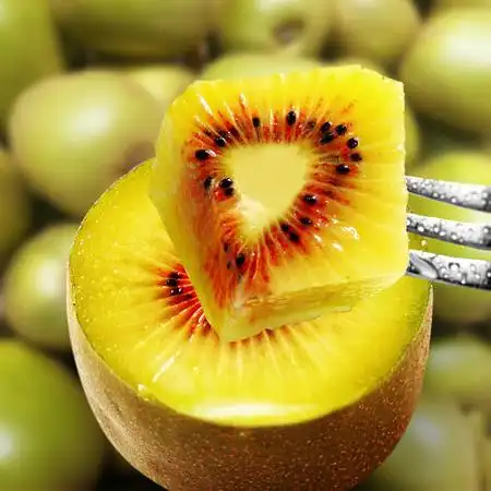 只卖中大果四川红心猕猴桃奇异果新鲜水果果园直发