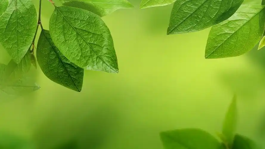 安装元气桌面,海量壁纸一键设置尺寸:1920x1080体积:0.