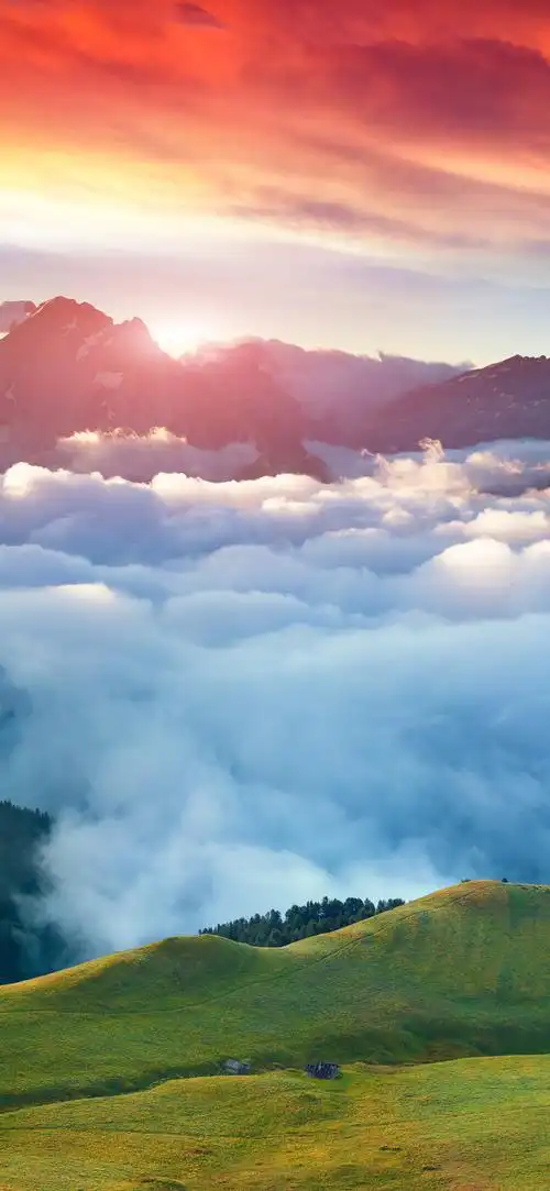 周未壁纸‖你要积极向上,因为未来有光!