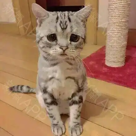 13:52:56     点赞:0收藏:0评论:2 新人注册领红包      评论 表情