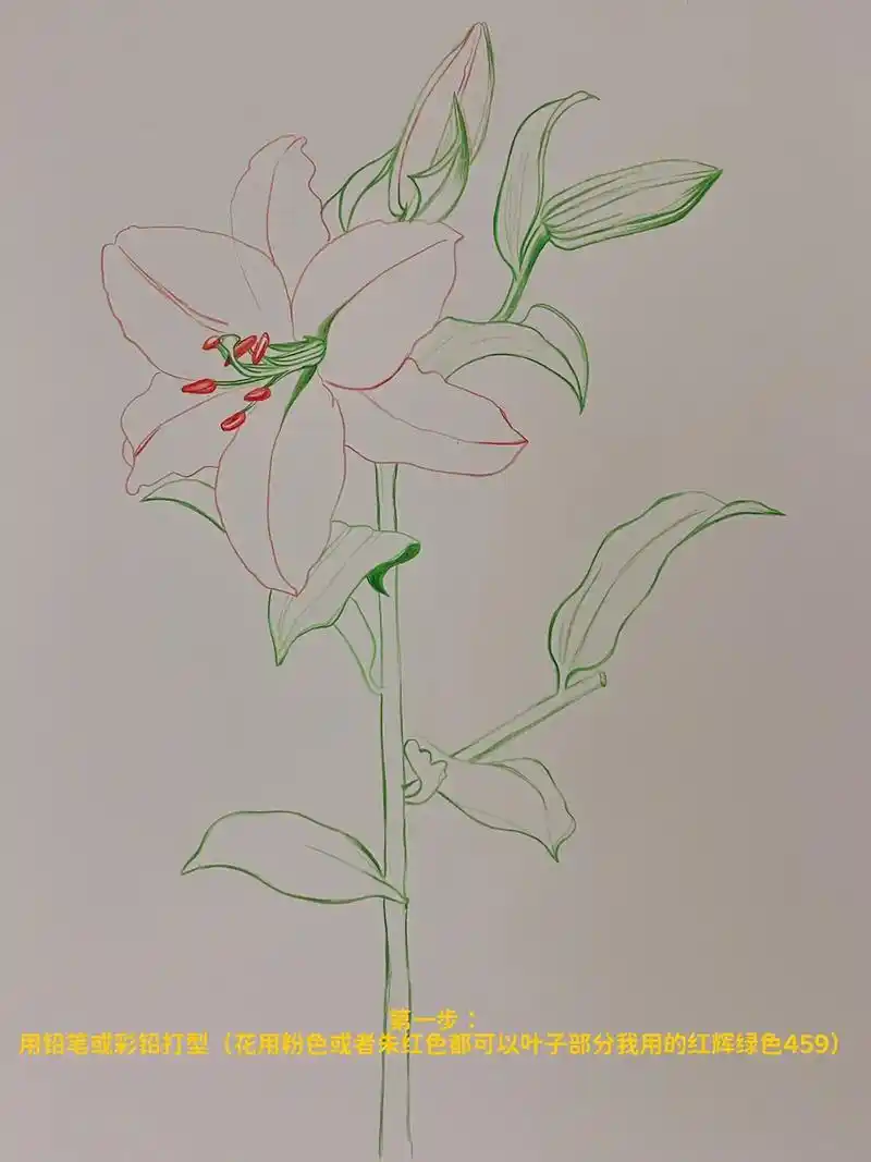 一起学画画 #零基础学画画 #彩铅手绘 #彩铅花卉 @抖音 - 抖音