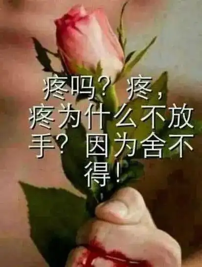 心痛流泪的伤感句子简短虐心有故事的人一看就哭