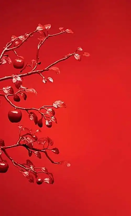 1,红色壁纸手机高清壁纸