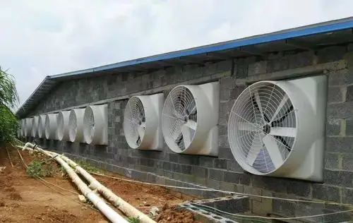 玻璃钢风机 养猪场风机 玻璃钢风机批发 风机供应 价格优惠