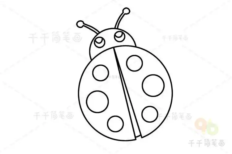 七星瓢虫简笔画分步画法七星瓢虫简笔画
