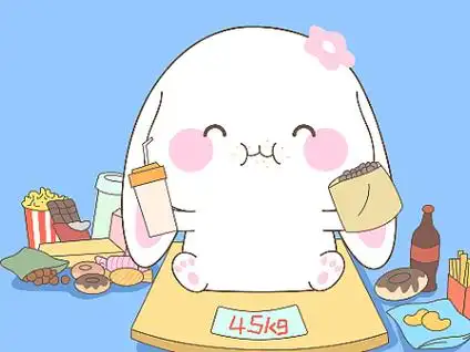 可爱兔兔 吃喝不愁,大概真的是吃货的梦想吧