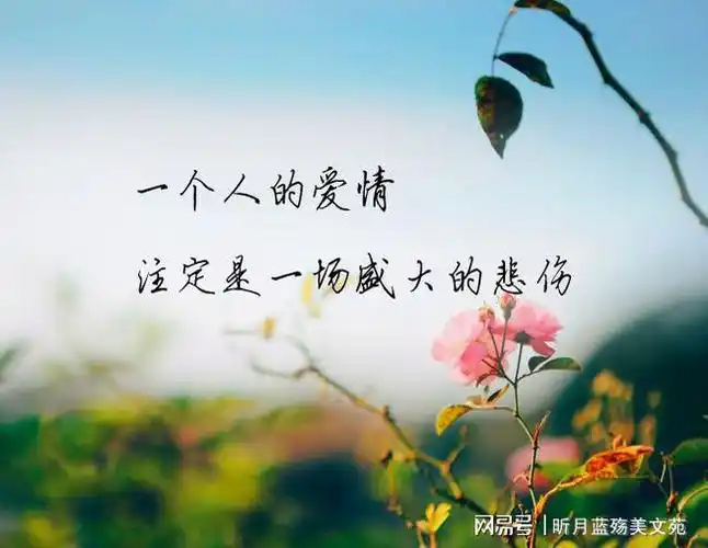 以为可以不再被过去所伤,然而,总是在某个安静的时间里,一个人泪流