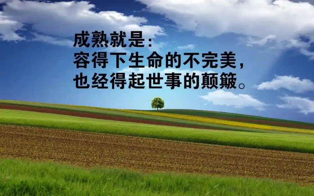 早安励志经典语录微信很火的说说励志语录