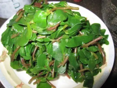 救过太阳的马榨菜降血压血糖还抗癌减肥备受城里人青睐