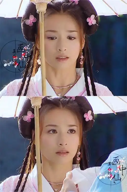 张庭电视剧最美古装(张庭我年轻时古装美)5