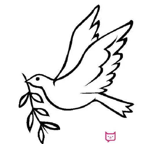 黑板报树枝简笔画国际和平日黑板报手抄报内容资料和图片精选