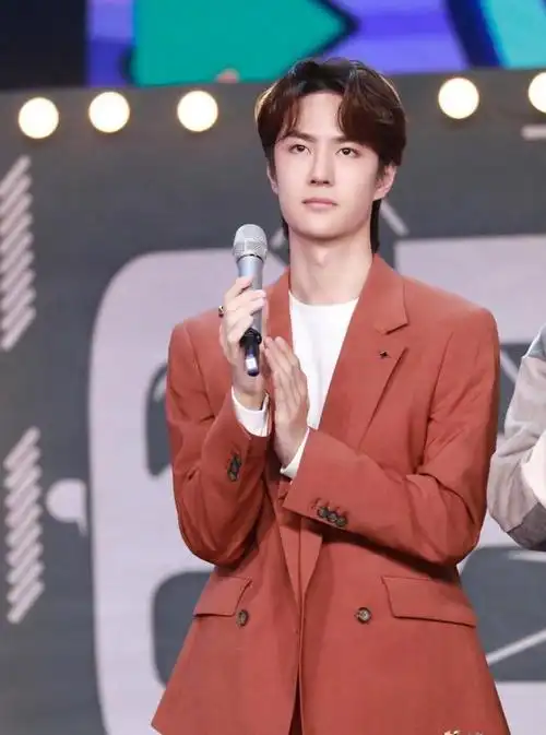 王一博诠释的蓝忘机沉稳内敛,而肖战塑造的魏无羡