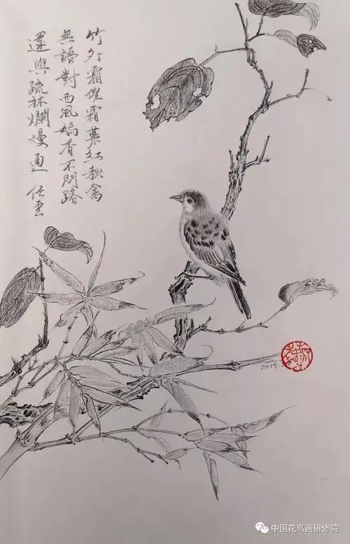 国画名家素描作品之"花鸟篇"