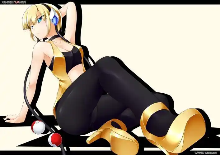 宠物小精灵冠军