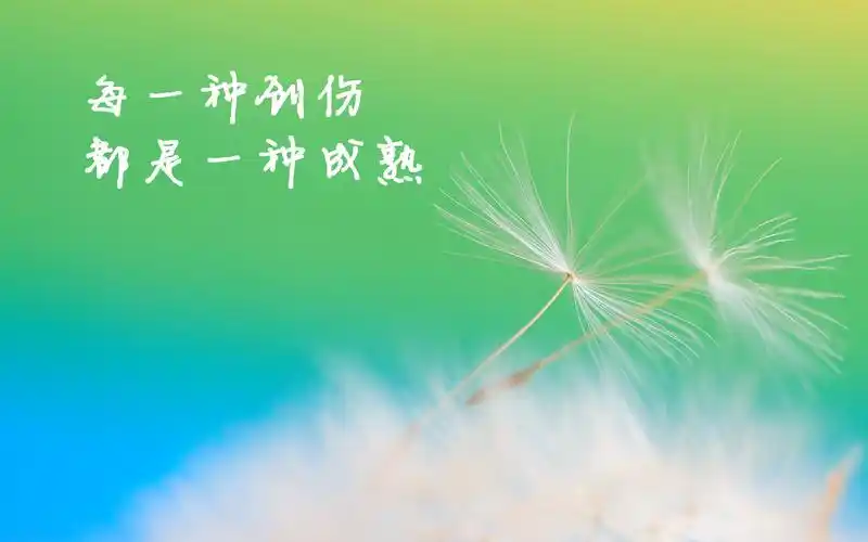 个性简约奋斗宽屏壁纸