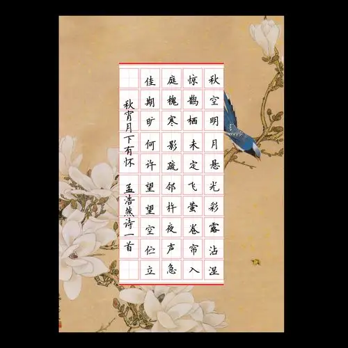 硬笔钢笔书法专用练习纸 创作展览比赛用纸 田字格纸16k-3-02款